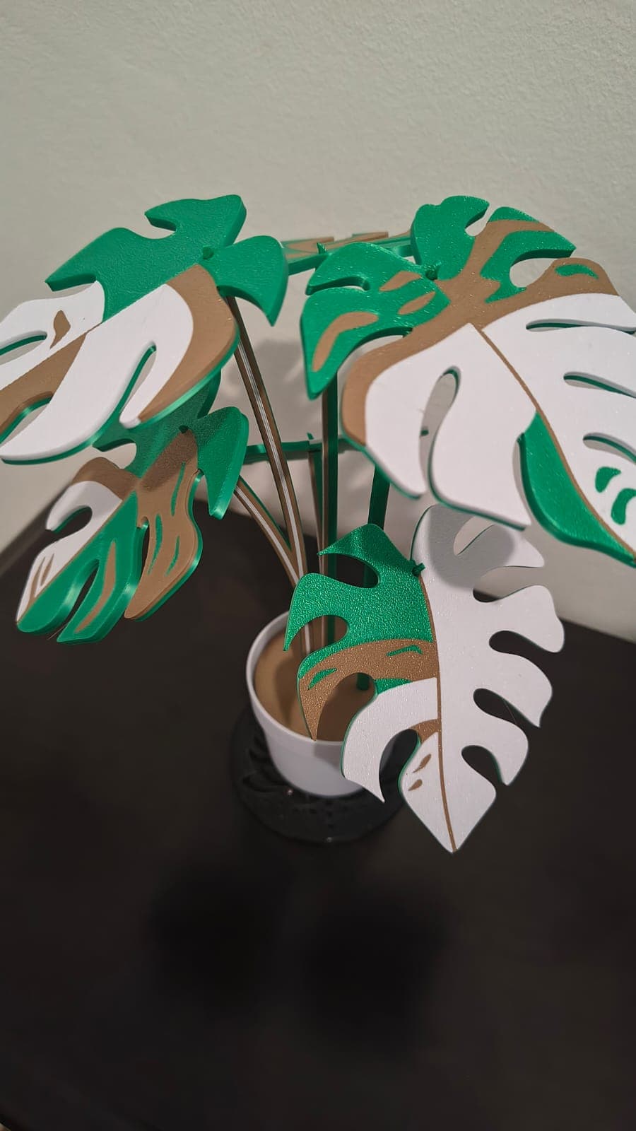 Costela-de-adão decorativa